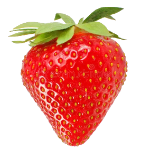 erdbeere